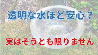 透明な水ほど安心？実はそうとも限りません